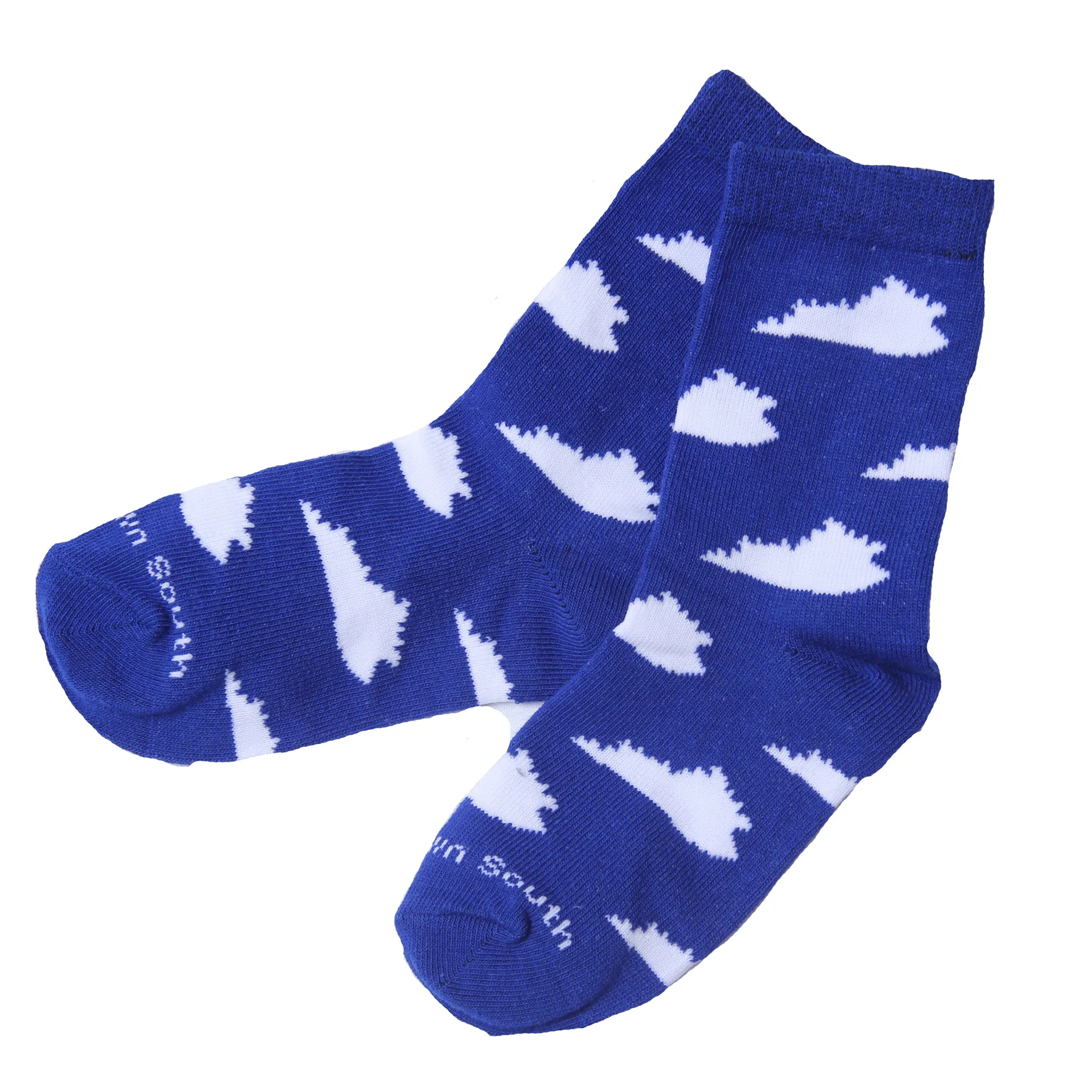 Kids Blue KY Socks